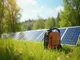 ecoflow-summer-sale-countdown-solargeneratoren-zubehoer-jetzt-radikal-reduziert-nur-noch-bis-31-juli